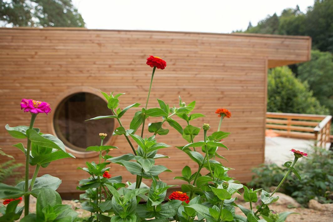 La Roche Aux Fees Bed & Breakfast Lapte Bagian luar foto